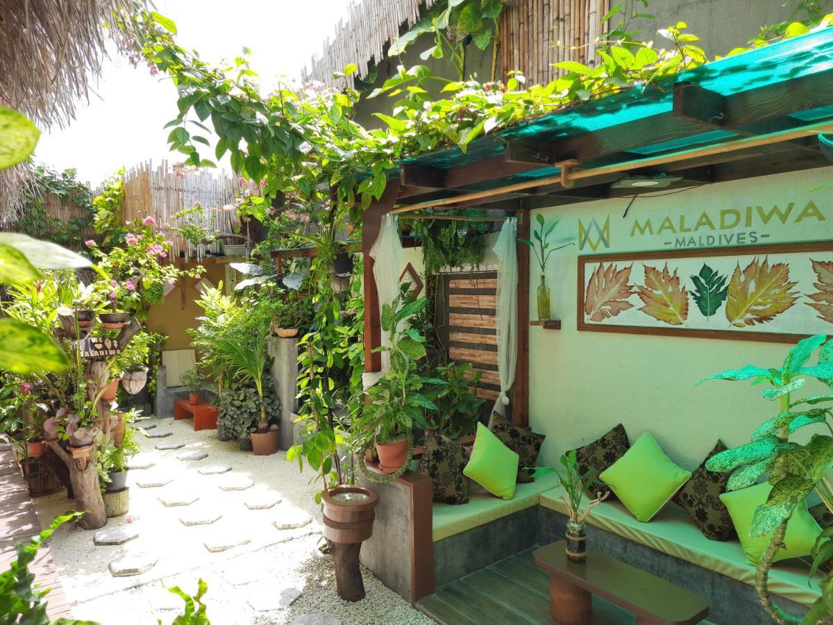 Maladiwa Beach & Spa Maafushi Extérieur photo